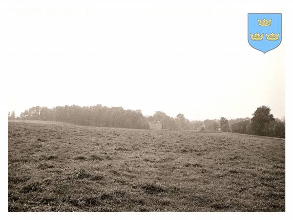 : Panorama centralnej części wsi od strony wschodniej - od Chliny. Widoczny zwarty zespół zieleni dawnego parku dworskiego.